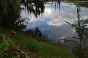 13th Oct 2015 - Clouds and reflection along the banks of the Ashley River, Magnolia Gardens, Charleston, SC
