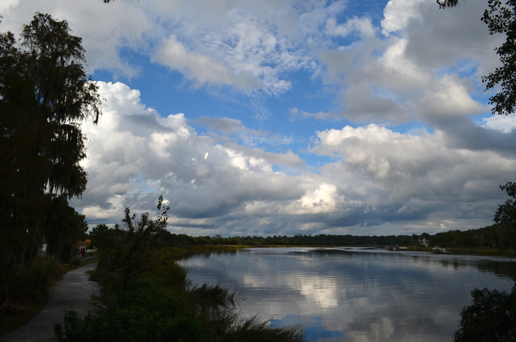 Clouds and reflection along the banks of the Ashley River, Magnolia Gardens, Charleston, SC by congaree