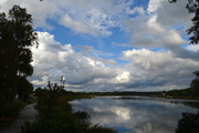 13th Oct 2015 - Clouds and reflection along the banks of the Ashley River, Magnolia Gardens, Charleston, SC