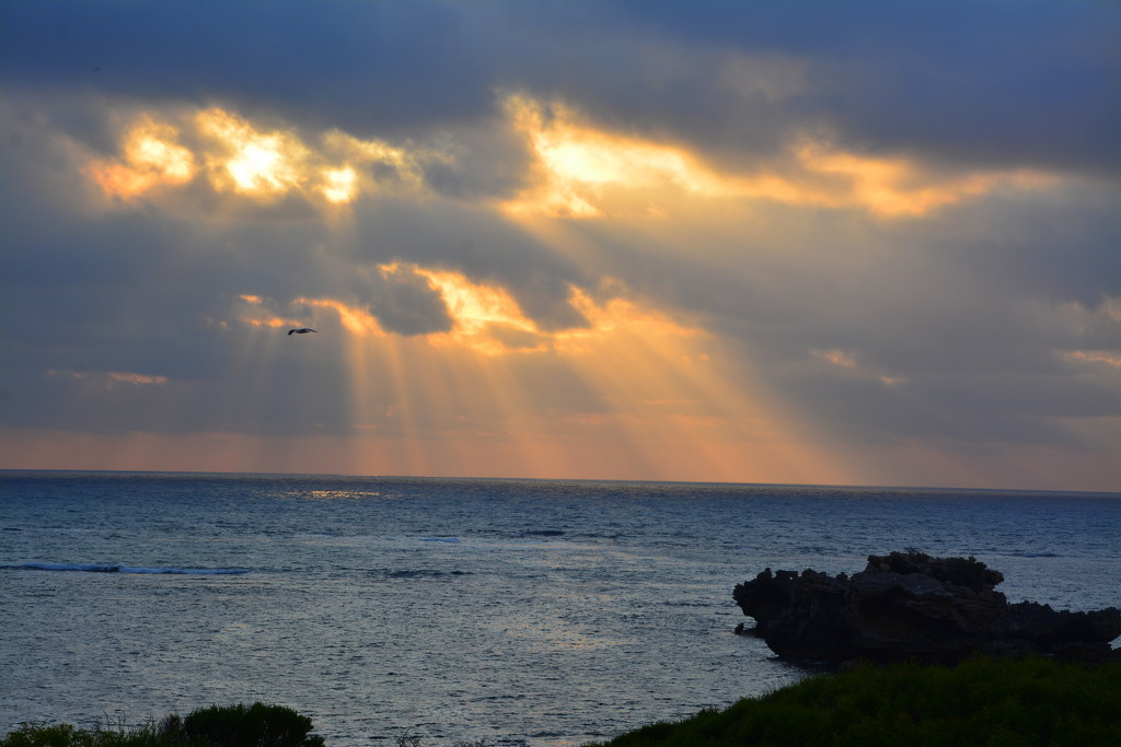 Sunlight Through The Clouds DSC_2962 by merrelyn