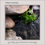 13th Oct 2015 - Album Cover Challenge #54: you feel you've known it always