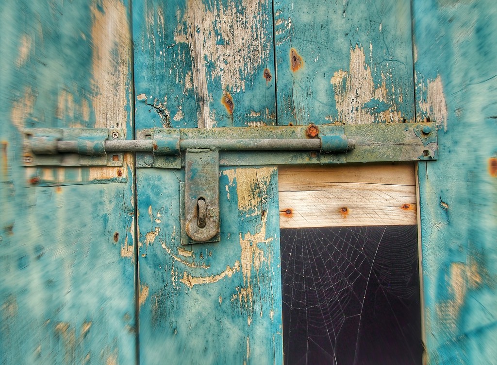 Barn Door Web by jack4john