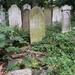 Gravestones by emma1231