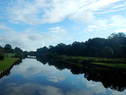 30th Sep 2015 - From a Carnoustie Road bridge, HHI