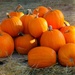 Pile of Pumpkins II by judyc57