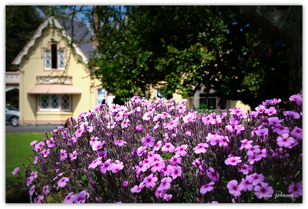 Highwic House Gardens.. by julzmaioro