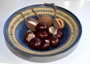 14th Oct 2015 - Conkers