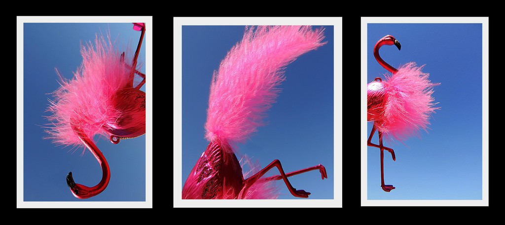 Pink Flamingo Triptych by homeschoolmom