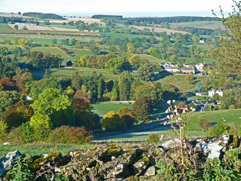 autumn view by shirleybankfarm