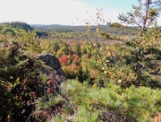 10th Oct 2015 - The Start of Some Fall Colours 