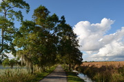 15th Oct 2015 - Sky, clouds, marsh and wetlands -- Magnolia Gardens, Charleston, SC