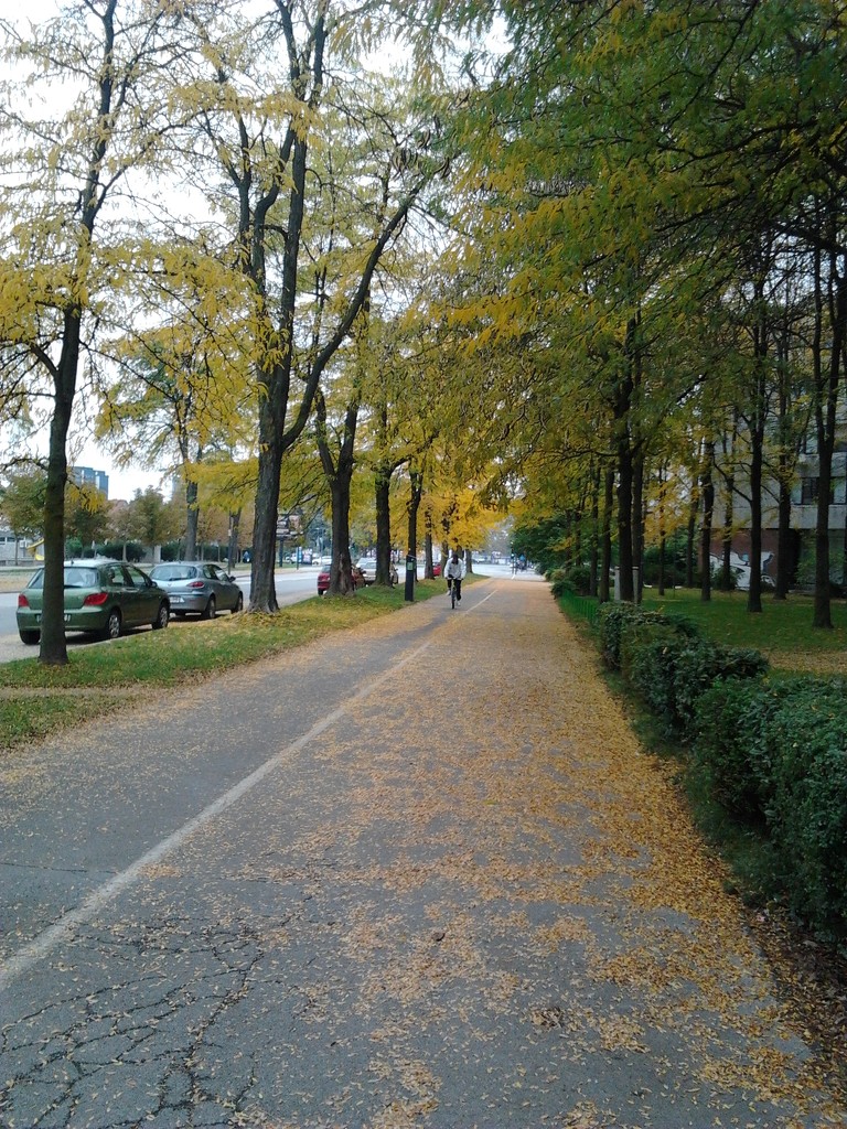 autumn again! by zardz