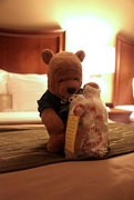 12th Sep 2015 - Bear and the Welcome Bag