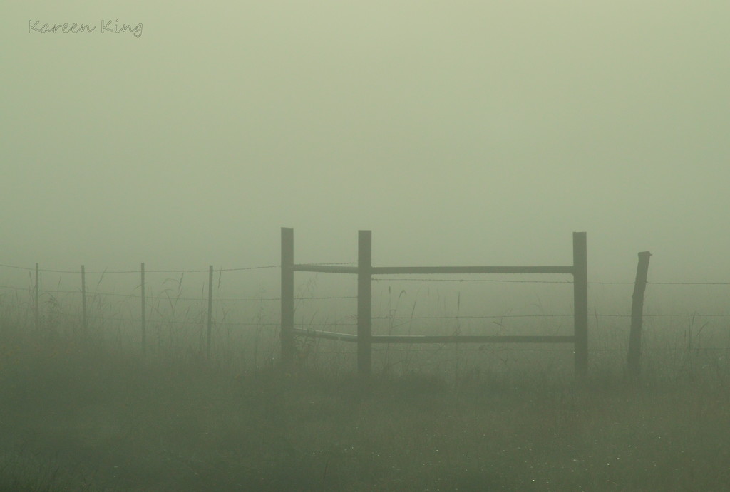 In a Fog by kareenking