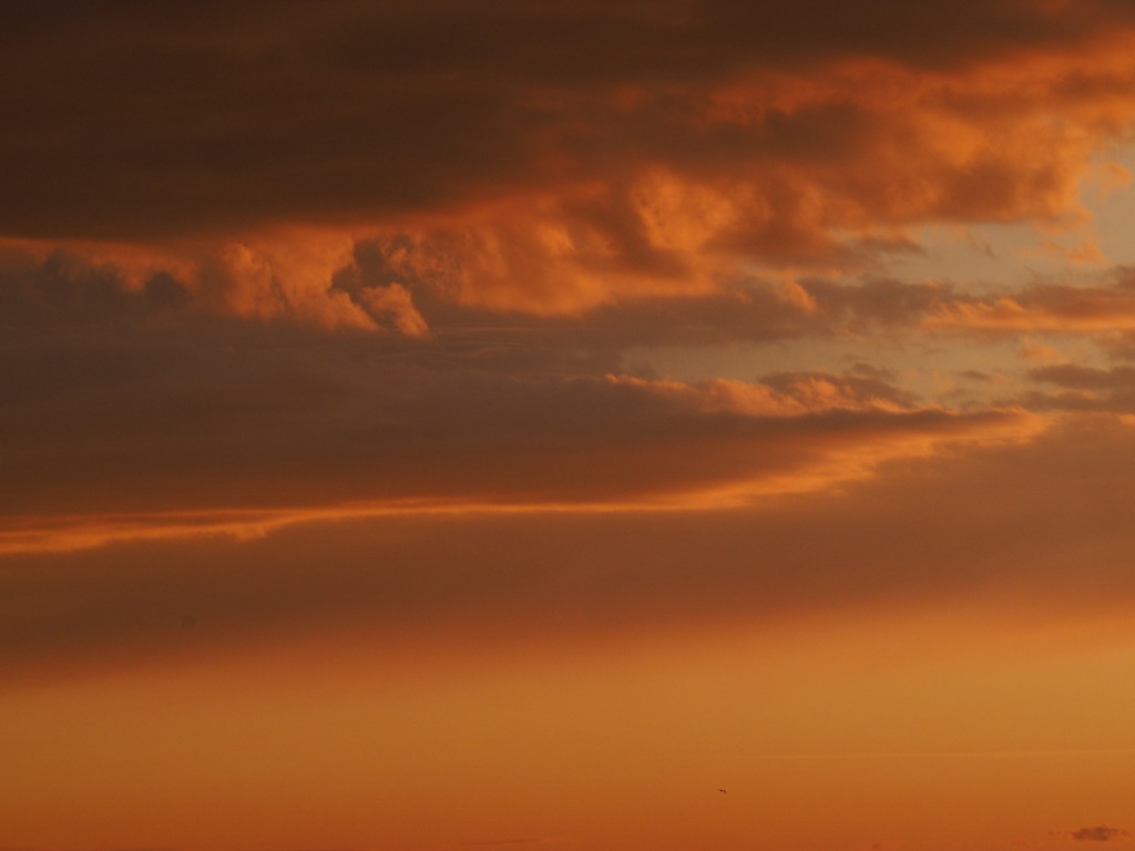 Orange Clouds by selkie