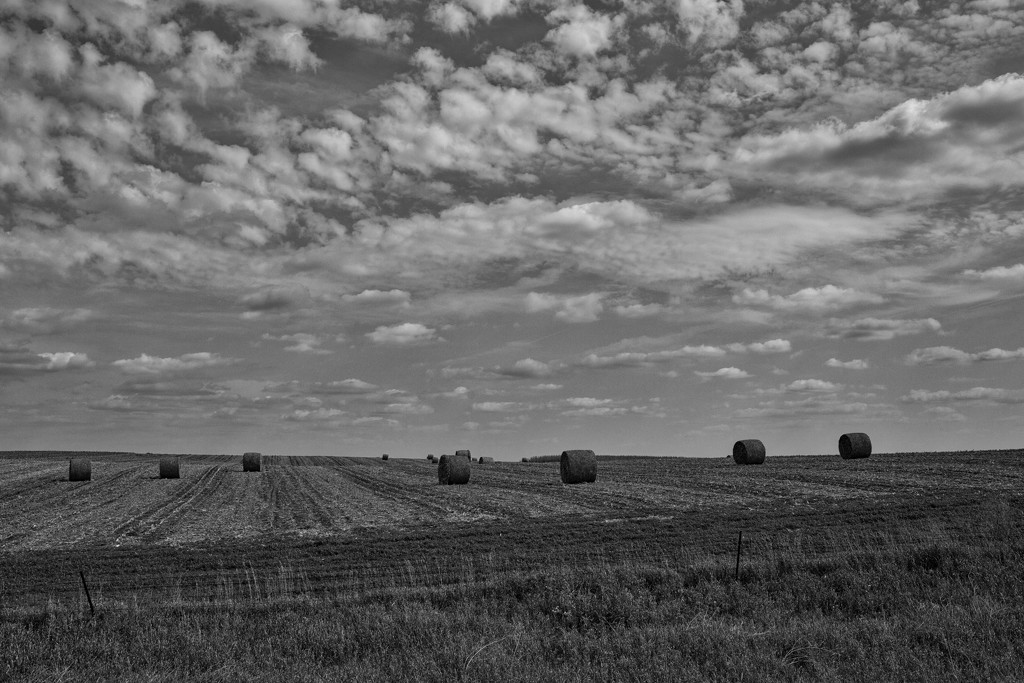 Iowa Countryside by seattle