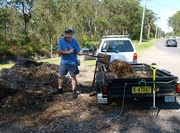 16th Oct 2015 - Collecting Mulch