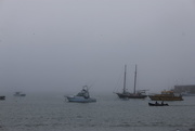 15th Oct 2015 - A foggy start to the day