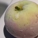 Frozen Apple  by cataylor41