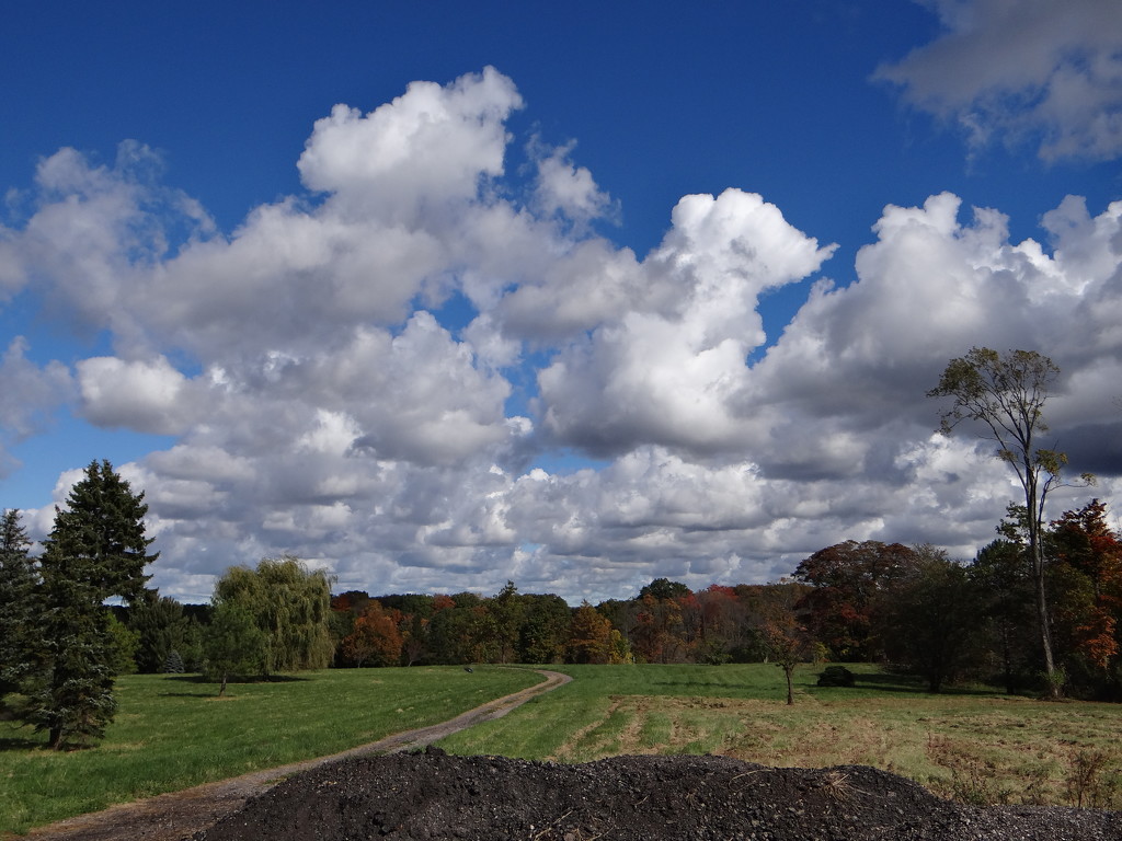 Fall At The Arboretum by brillomick