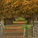 Gate to Conker Alley by padlock