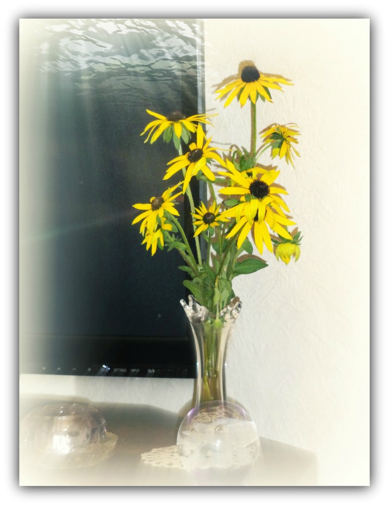 A few blooms in a vase by beryl