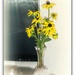 A few blooms in a vase by beryl