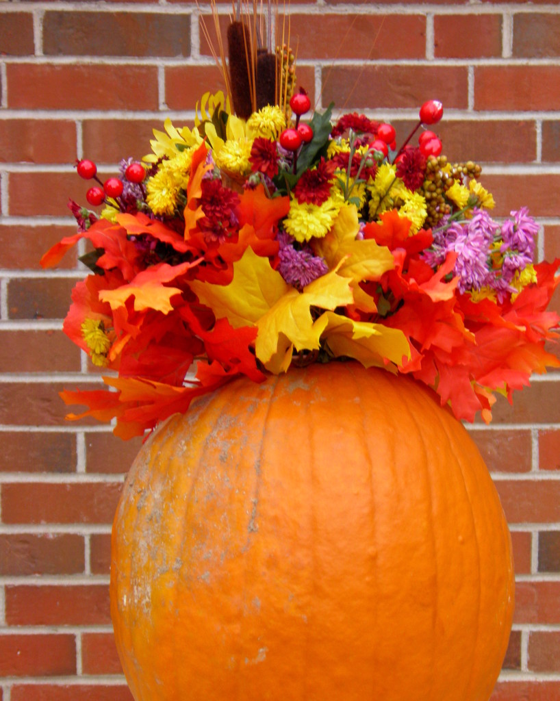 Autumn Decoration by daisymiller