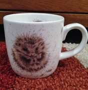 14th Oct 2015 - Hedgehog mug...