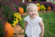 17th Oct 2015 - Little "Punkin"