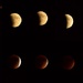 Lunar Eclipse by kareenking