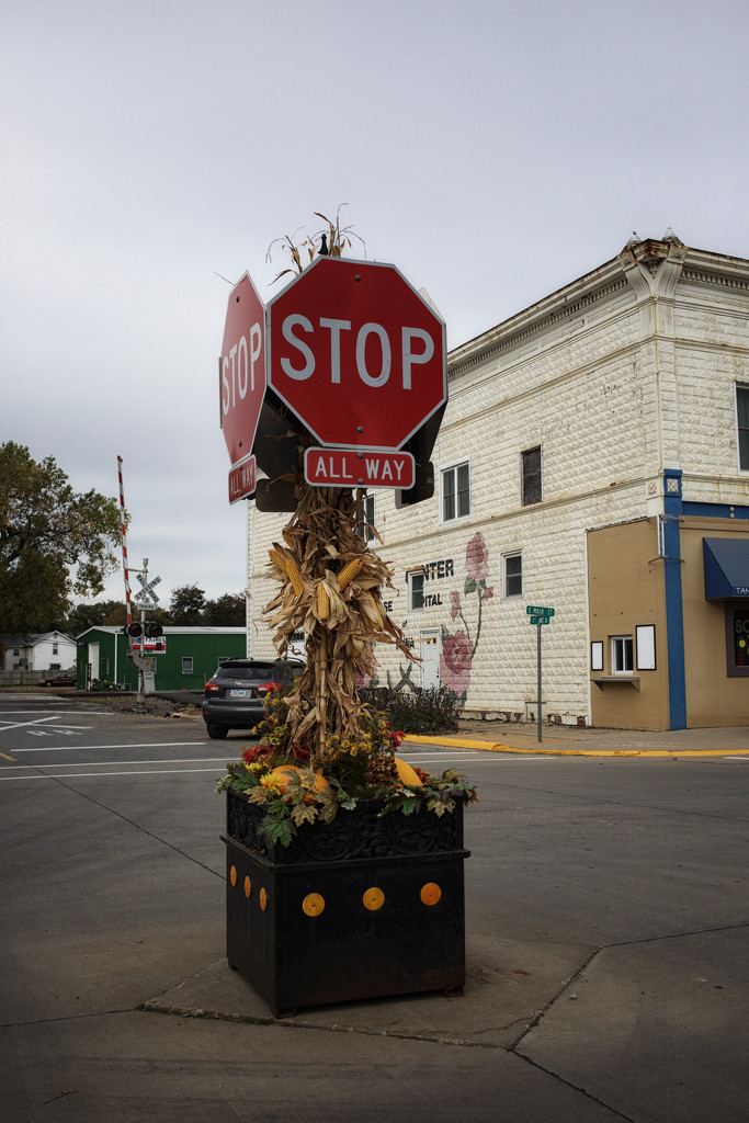 The Fall Harvest Stop Sign In The Middle Of An Iowan Street!   by seattle