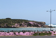 18th Oct 2015 - Pink island