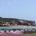 Pink island by gilbertwood