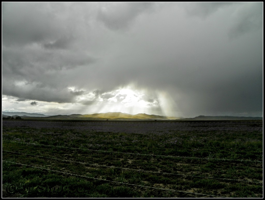 Sunbeams on the plains. by soylentgreenpics
