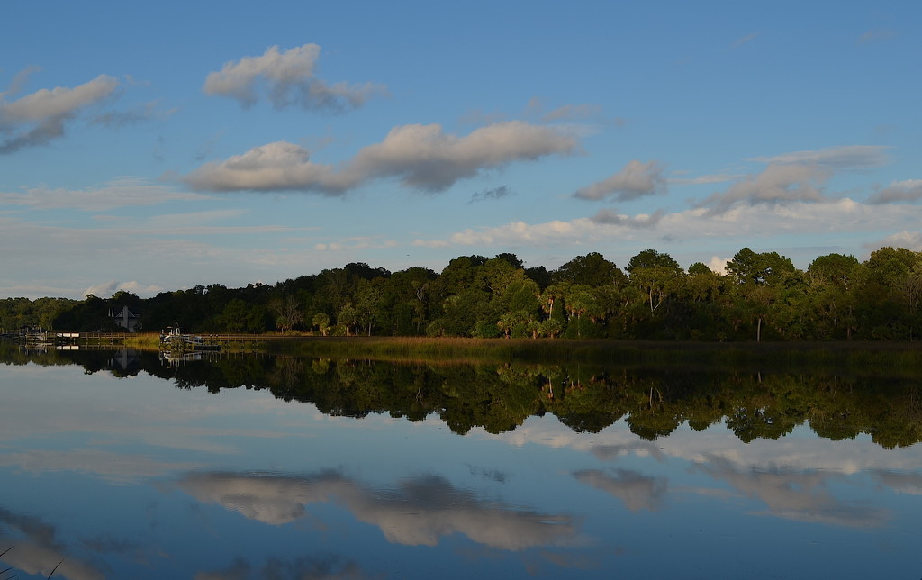 Ashley River at Magnolia Gardens, Charleston, SC by congaree