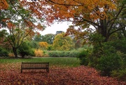 18th Oct 2015 - Autumn View at RHS Wisley