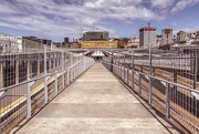 19th Oct 2015 - Welly Walkway