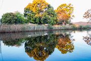 19th Oct 2015 - River Reflections