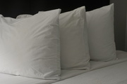 14th Oct 2015 - Row of Pillows