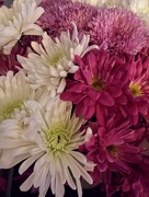14th Oct 2015 - Flower Arrangement