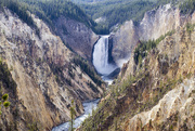 19th Oct 2015 - Grand Canyon of the Yellowstone