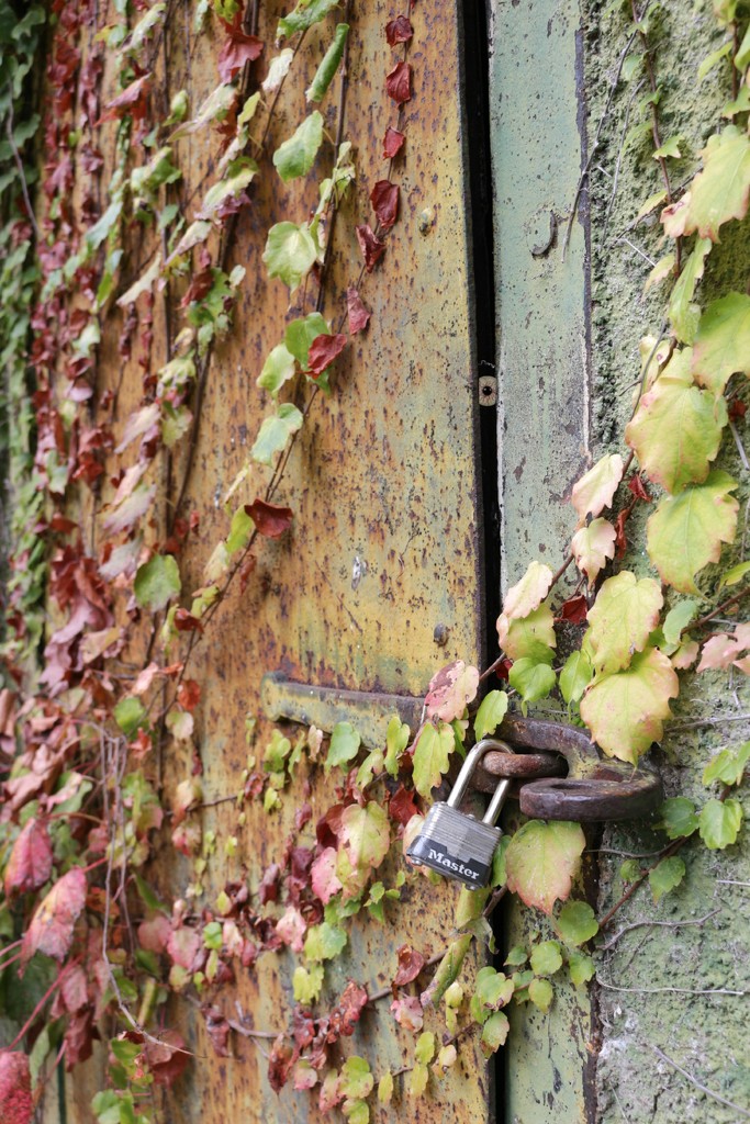 When is a Crypt Not a Crypt? by juliedduncan