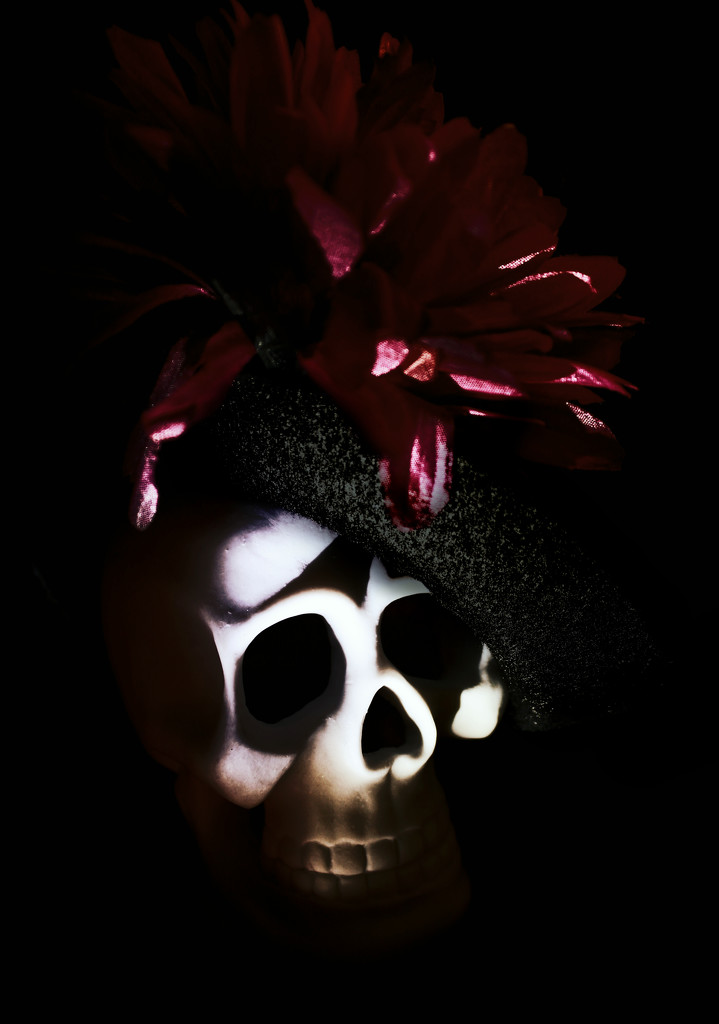 skull in the style of @graemestevens by adi314