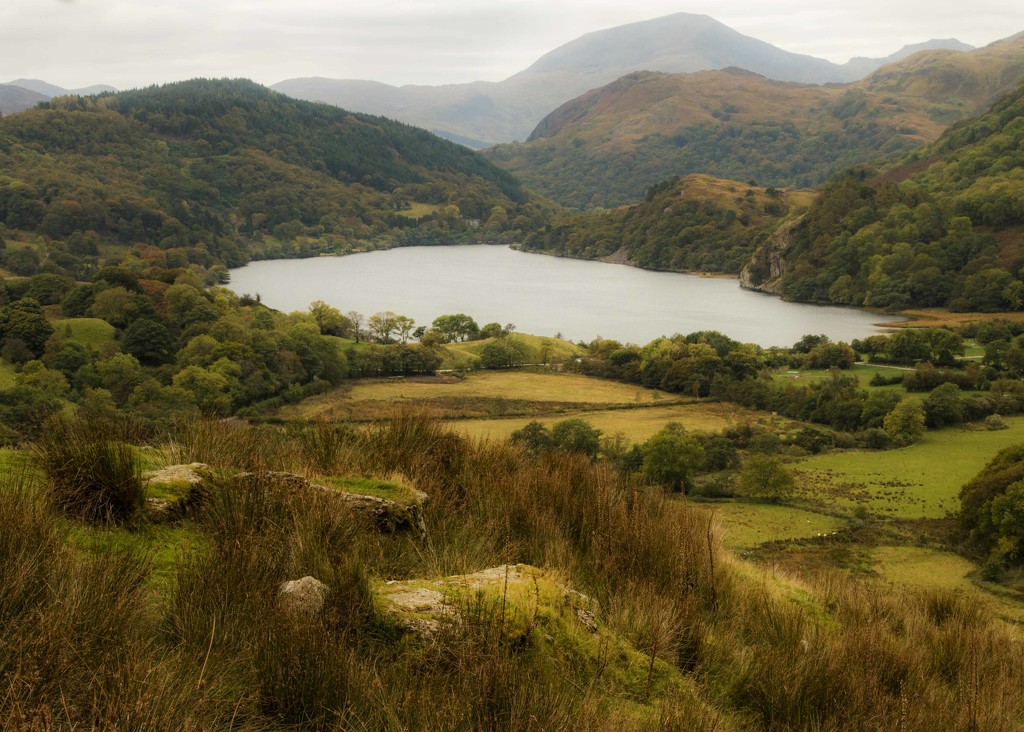 Welsh View by shepherdmanswife