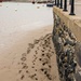 Footsteps on Barmouth Beach by shepherdmanswife