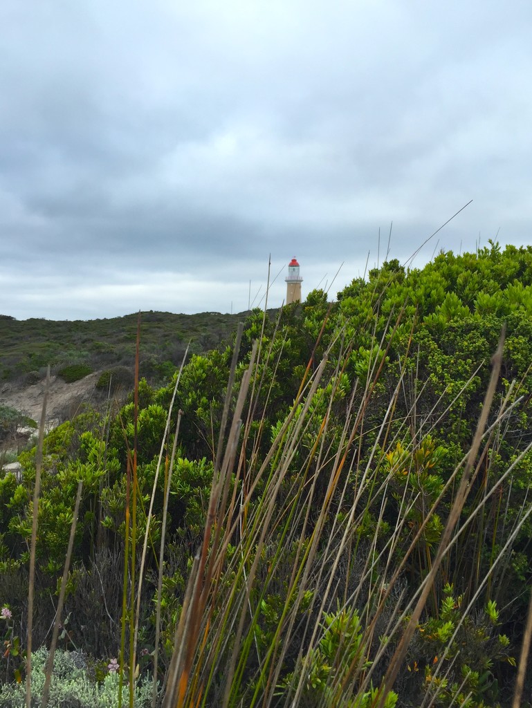 Cape du Couedic Lighthouse by kjarn