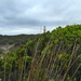 Cape du Couedic Lighthouse by kjarn