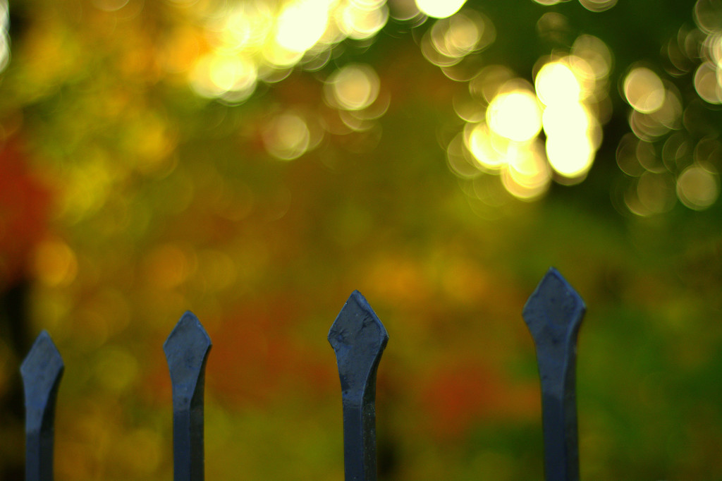 Bokeh at the gate by jayberg