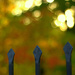 Bokeh at the gate by jayberg